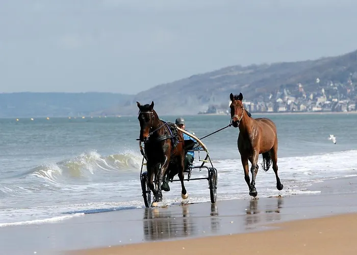 Apartamento Le Spacieux Vue Cabourg
