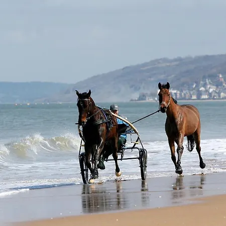 Apartman Le Spacieux Vue Cabourg